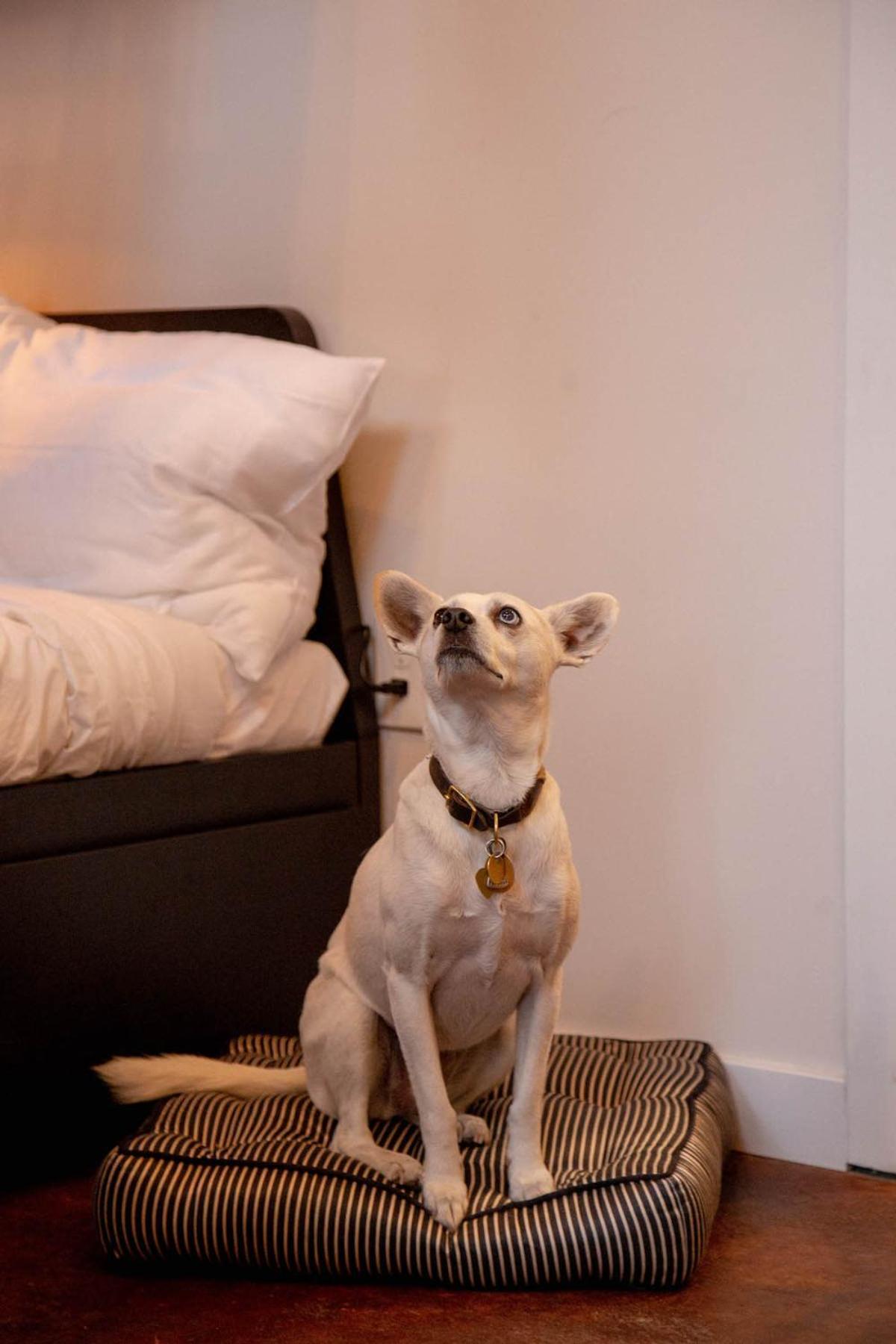 Reading Viaduct Loft, City Center, Contactless Check In Philadelphia Luaran gambar